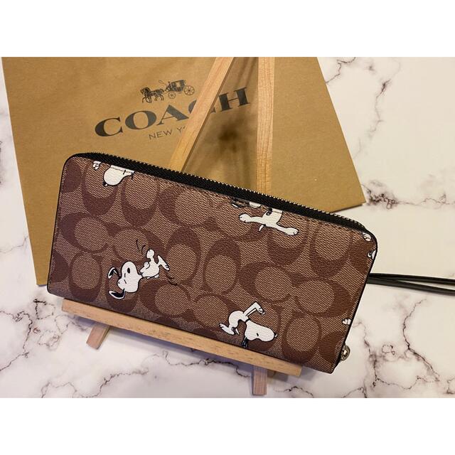 COACH】コーチスヌーピー 長財布 SNOOPY シグネチャー www ...