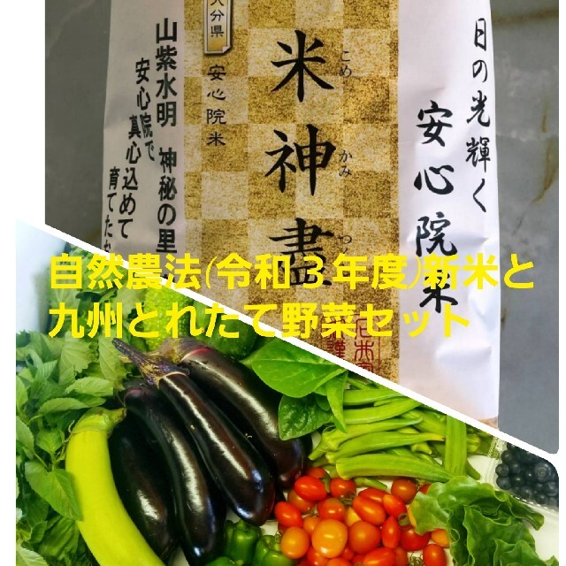 令和３年産新米と九州とれたて野菜セット 食品/飲料/酒の食品(米/穀物)の商品写真