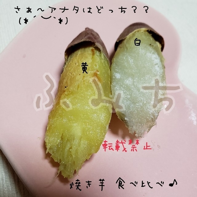 小さめ　白　紅はるか　10キロ　茨城県産　さつま芋　サツマイモ 食品/飲料/酒の食品(野菜)の商品写真