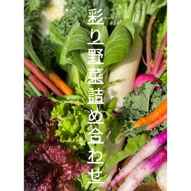 野菜セット！朝採り野菜を直送します　本日発送可能！ 食品/飲料/酒の食品(野菜)の商品写真