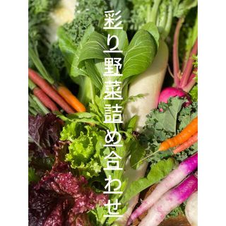 野菜セット！朝採り野菜を直送します　本日発送可能！(野菜)