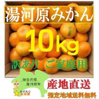  みかん 10kg🍊ご家庭用 訳あり 不選別 湯河原みかん 10キロ.(フルーツ)