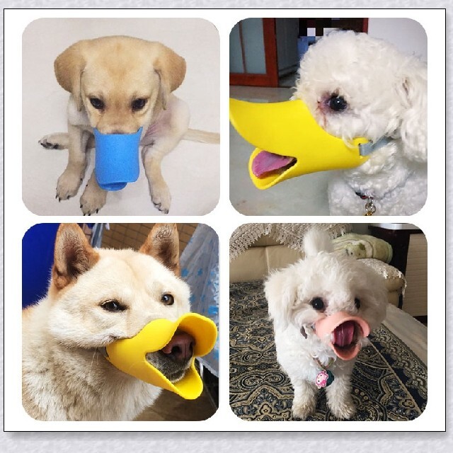 S アヒル型口輪 犬 噛みつき防止 無駄吠え 拾い食いの通販 By きなこ S Shop ラクマ S アヒル型口輪 犬 噛みつき防止 無駄吠え 拾い食いの通販 By きなこ S Shop ラクマ