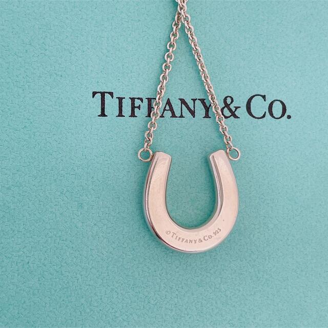 Tiffany & Co.(ティファニー)の希少TIFFANY&Co. ティファニーホースシューネックレス レディースのアクセサリー(ネックレス)の商品写真