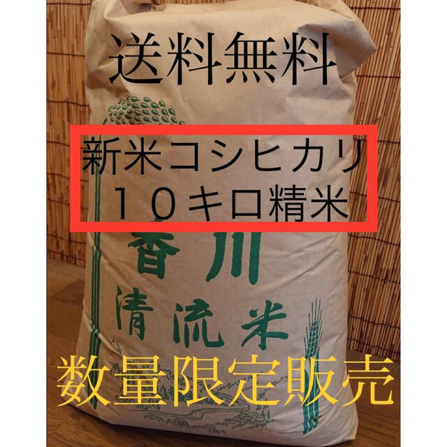 新米コシヒカリ精米　米/穀物