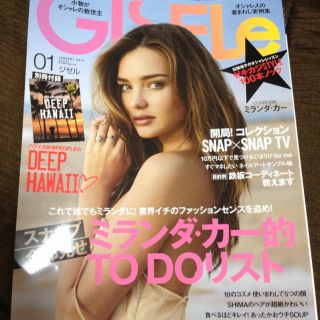 GISELe 2014 1月号 送料込♡(その他)