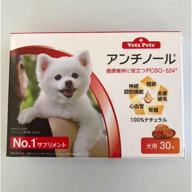 犬用　アンチノール　30粒 その他のペット用品(ペットフード)の商品写真