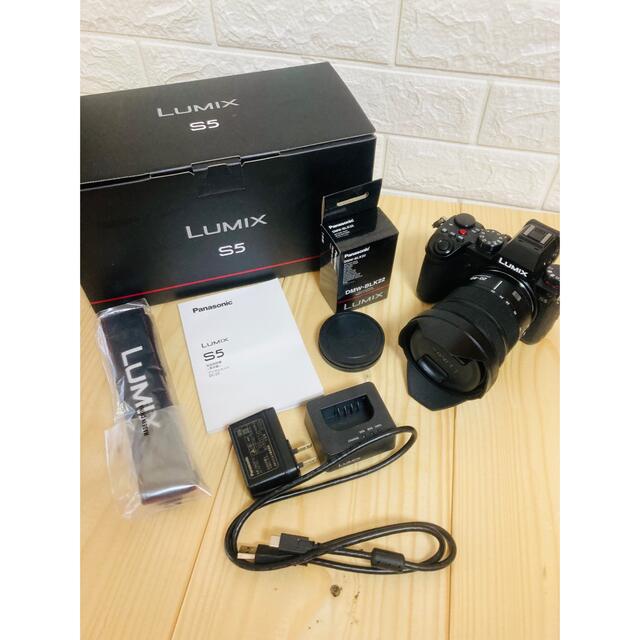 専用　LUMIX DC-S5K 純正レンズキットセットおまけ付き