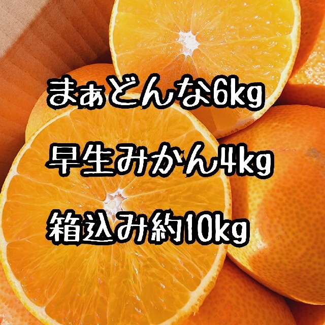愛媛県産　まぁどんな　早生みかん　セット
