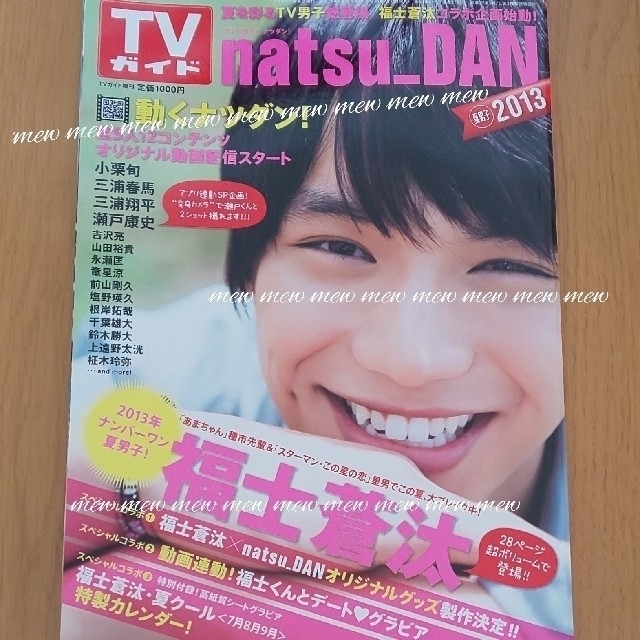 TVガイド natsu_DAN 2013年 福士蒼汰表紙◆三浦春馬掲載
