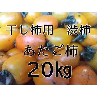 送料込　訳ありの訳あり　干し柿用渋柿　愛宕柿（あたご柿）たっぷり２０㎏　s026(フルーツ)