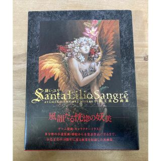 Santa Lilio Sangre緋いユリ 小島文美画集の通販 by