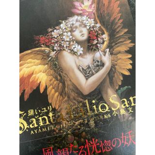Santa Lilio Sangre緋いユリ 小島文美画集の通販
