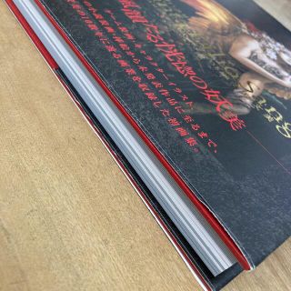 Santa Lilio Sangre緋いユリ 小島文美画集の通販 by