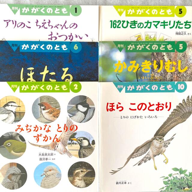 科学絵本　月刊かがくのとも　計２１冊　福音館