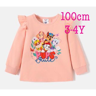 ［新品未使用］メンバー長袖トレーナー　100cm(Tシャツ/カットソー)