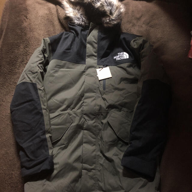 US企画 日本未発売 THE NORTH FACE ベッドフォード ダウン