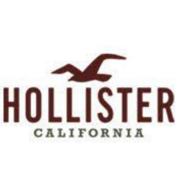 Hollister(ホリスター)のホリスター   メンズパーカー　　S メンズのトップス(パーカー)の商品写真