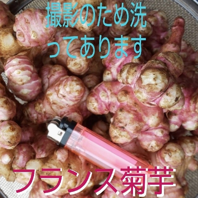 フランス菊芋 無農薬 無化成肥料栽培 土付き5kg あなたの健康をお手伝い！ 食品/飲料/酒の食品(野菜)の商品写真