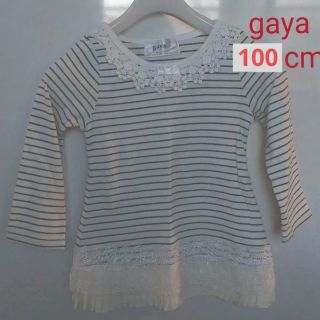 ガヤ(GAYA)のgaya ボーダーレース付きロンt チュニック(Tシャツ/カットソー)