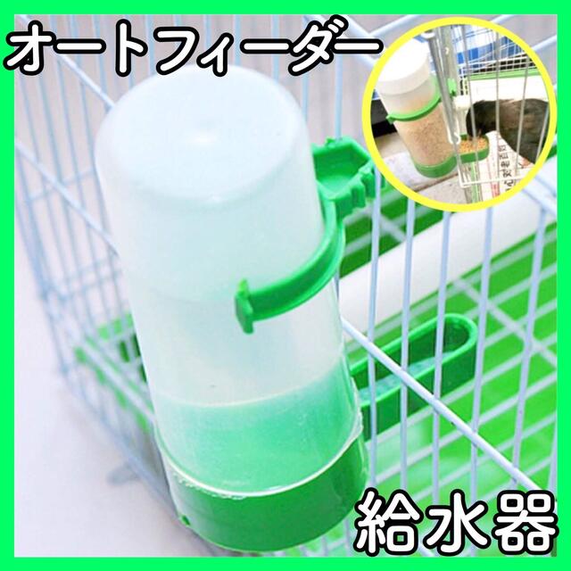 F20【新品】インコ オウム 文鳥 水飲み オートフィーダー えさ ハムスター その他のペット用品(鳥)の商品写真