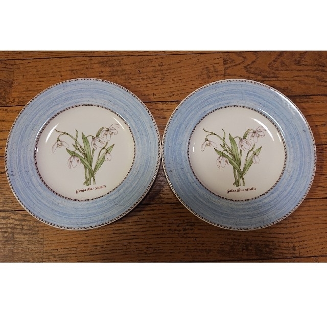 WEDGWOOD(ウェッジウッド)の【廃盤品】WEDGWOOD sarah's Gardenお皿 インテリア/住まい/日用品のキッチン/食器(食器)の商品写真