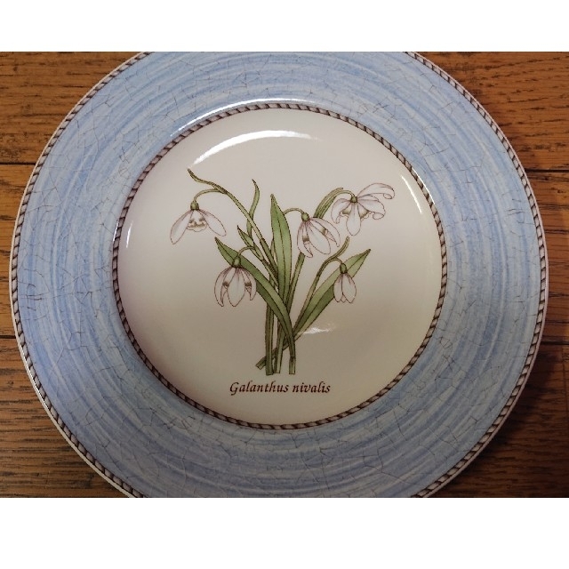 WEDGWOOD(ウェッジウッド)の【廃盤品】WEDGWOOD sarah's Gardenお皿 インテリア/住まい/日用品のキッチン/食器(食器)の商品写真