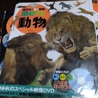 コウダンシャ(講談社)の動物　図鑑のみ(絵本/児童書)