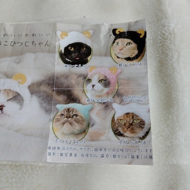 猫のかぶり物　２個で その他のペット用品(猫)の商品写真