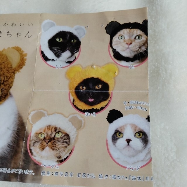 猫のかぶり物　２個で その他のペット用品(猫)の商品写真