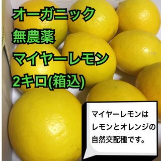 オーガニック　無農薬マイヤーレモン　2キロ(箱込)(フルーツ)