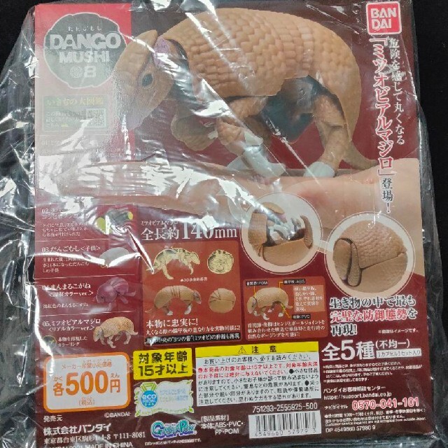 BANDAI　ダンゴムシガチャ　アルマジロ　台紙 エンタメ/ホビーのおもちゃ/ぬいぐるみ(キャラクターグッズ)の商品写真