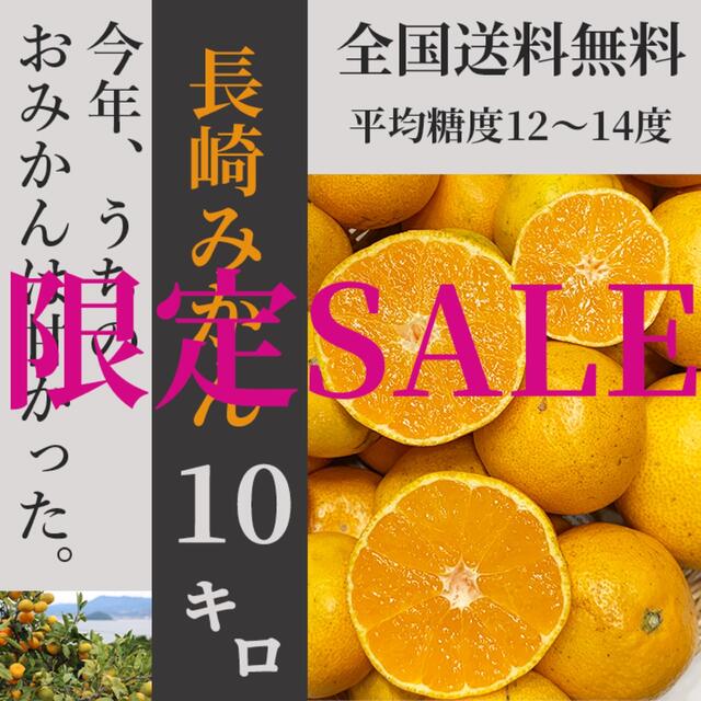 【ゲリラSALE】評判◎ ♪長崎みかん10k♪大好評です♪ 4000円相当！ 食品/飲料/酒の食品(フルーツ)の商品写真