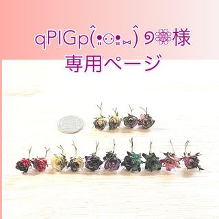 qPlGp様専用ページ(ドライフラワー)