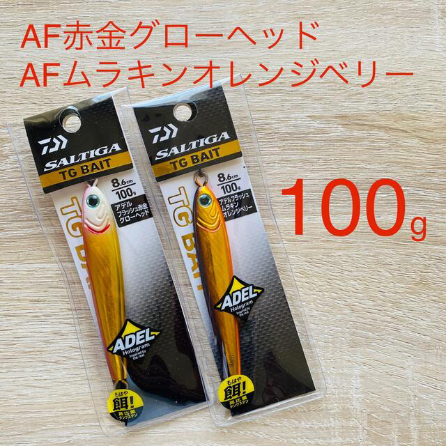 DAIWA TGベイト 100g ×2本 タングステン製 メタルジグ ソルティガ