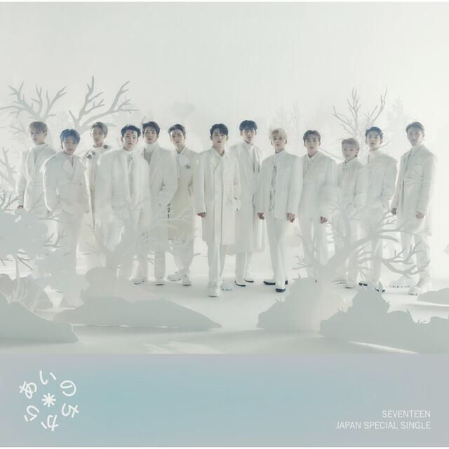 SEVENTEEN(セブンティーン)のまるこ様専用 / 新品未開封/ SEVENTEEN CARAT盤 あいのちから エンタメ/ホビーのCD(K-POP/アジア)の商品写真