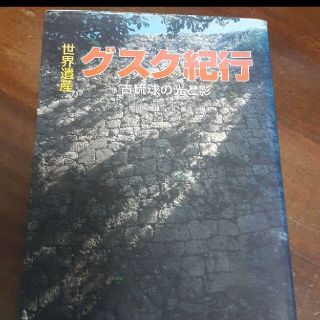 「世界遺産」グスク紀行 : 古琉球の光と影(人文/社会)