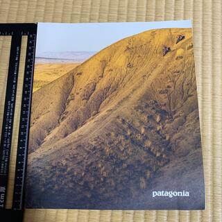 パタゴニア(patagonia)のpatagonia パタゴニア　冊子　2019.5月　カタログ　非売品　本　(印刷物)