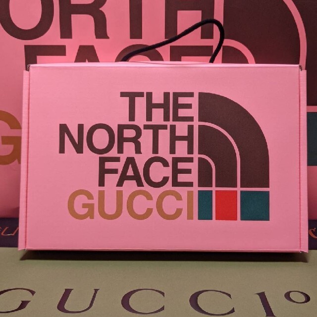 Gucci(グッチ)のグッチ Gucci T シャツ ノースフェイス コラボ Sサイズ第二弾 THE  レディースのトップス(Tシャツ(半袖/袖なし))の商品写真