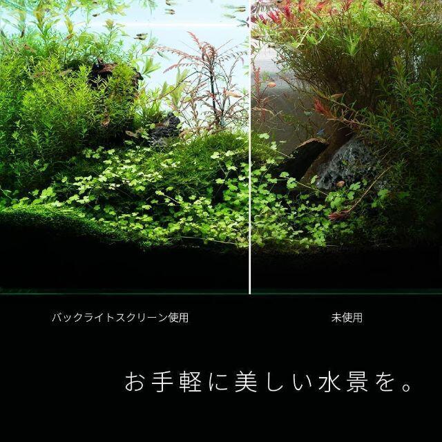 水槽　バックライトスクリーン　60cm×35cm　アクアリウム　熱帯魚 その他のペット用品(アクアリウム)の商品写真
