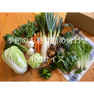季節のお野菜詰め合わせ 100サイズ(野菜)
