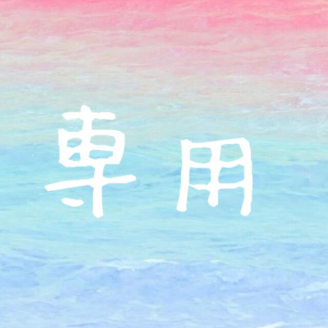 りな様専用 - www.amatogroup.it