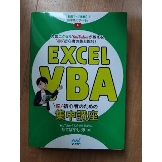 Ｅｘｃｅｌ　ＶＢＡ脱初心者のための集中講座(コンピュータ/IT)