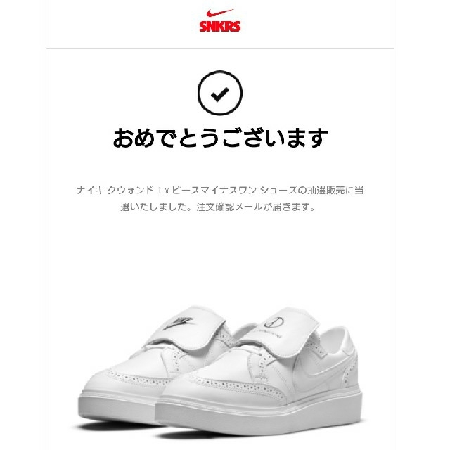 NIKE(ナイキ)のPEACEMINUSONE ×Nike kwondo1 26cm メンズの靴/シューズ(スニーカー)の商品写真