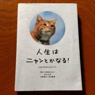 人生はニャンとかなる！ 明日に幸福をまねく６８の方法(その他)