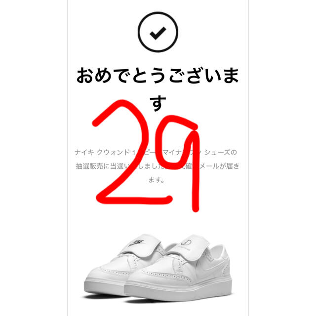 靴/シューズNIKE Kwondo1 White サイズ29