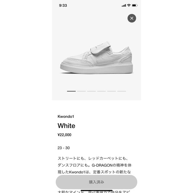 PEACEMINUSONE(ピースマイナスワン)のNIKEピースマイナスワン　希少30㎝最安値　最終値下げ！！ メンズの靴/シューズ(スニーカー)の商品写真