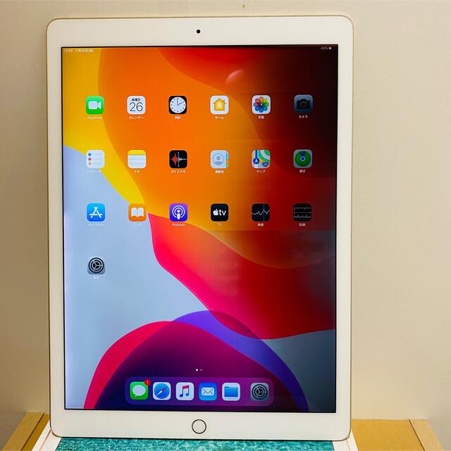 Apple(アップル)のnenasigusa999様専用iPad Pro 12.9 第二世代ジャンク品 スマホ/家電/カメラのPC/タブレット(タブレット)の商品写真