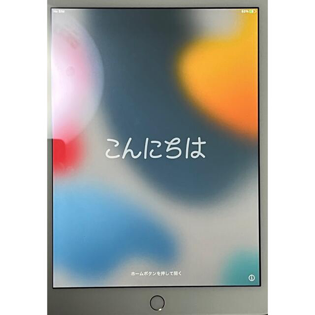 iPadOS151CPUiPad(第5世代)セルラーモデル32G　ゴールド