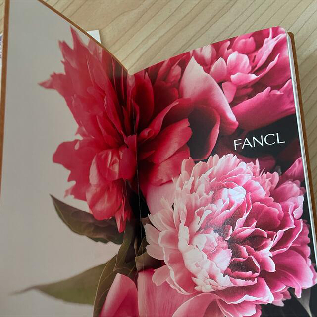 FANCL(ファンケル)のファンケル　手帳　2022 メンズのファッション小物(手帳)の商品写真